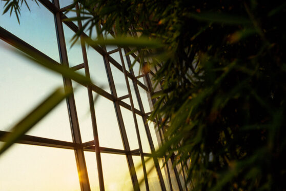 Foto&Copyright: Werner Bartsch, Unternehmensfotografie, Corporate Photography