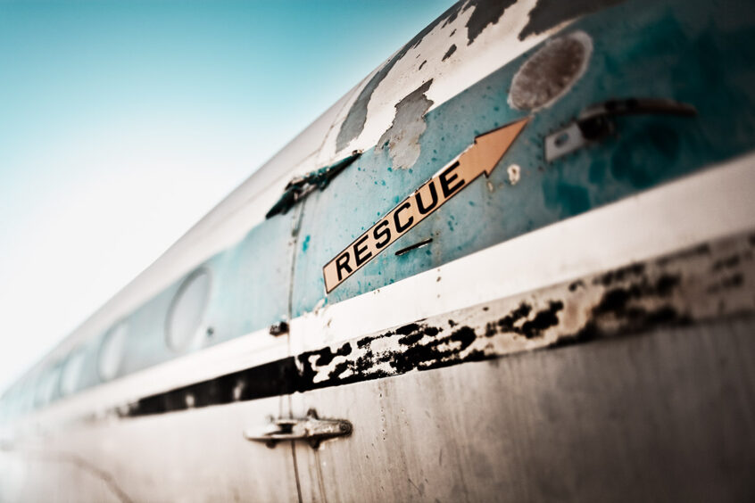 Fotokunstprojekt Desert Birds von Werner Bartsch