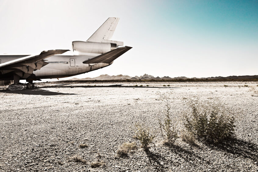 Fotokunstprojekt Desert Birds von Werner Bartsch