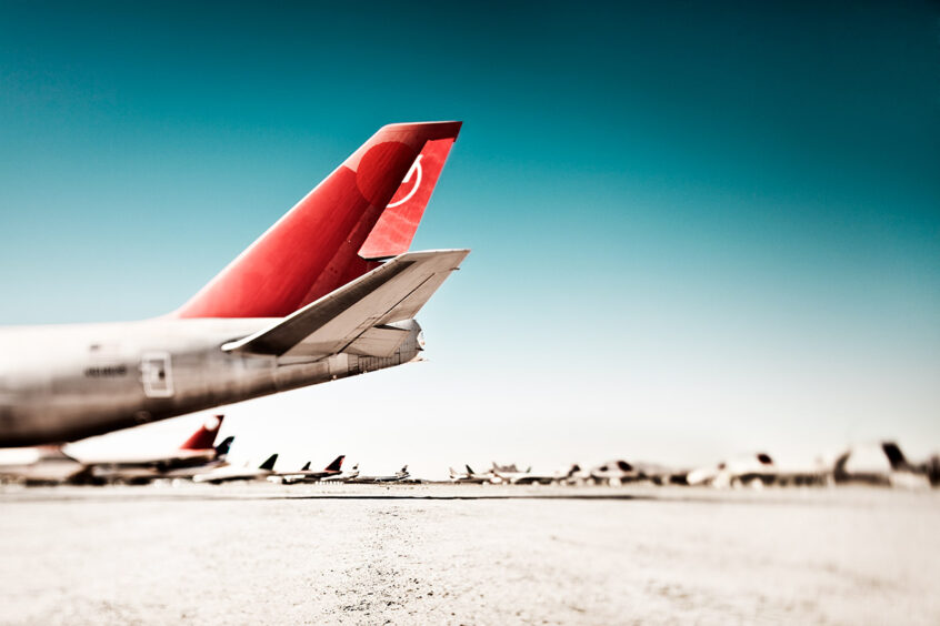 Fotokunstprojekt Desert Birds von Werner Bartsch
