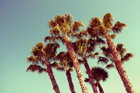 Werner Bartsch Fotografie - Daytona 24h