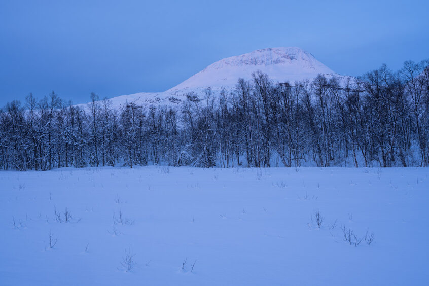 Werner Bartsch Fotografie - THE FAR NORTH