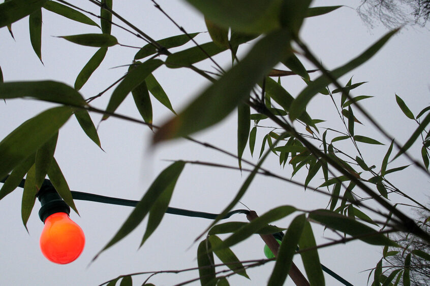 Werner Bartsch Fotografie - Glückliche Tage