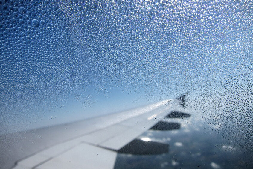 Werner Bartsch Fotografie - Glückliche Tage