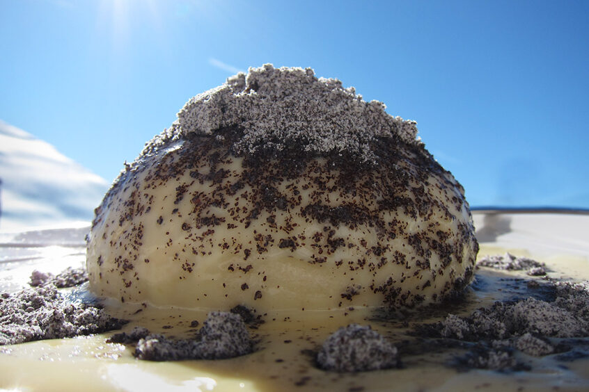 Werner Bartsch Fotografie - Glückliche Tage