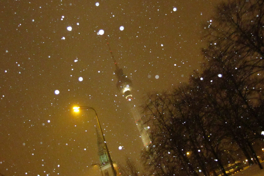 Werner Bartsch Fotografie - Glückliche Tage
