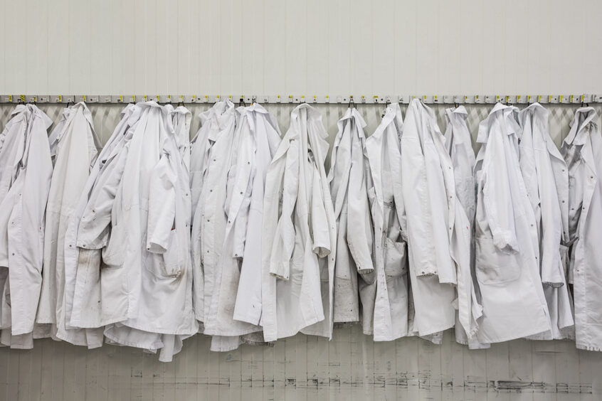 Werner Bartsch Fotografie - Glückliche Tage