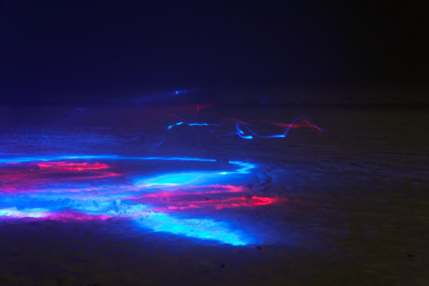 Werner Bartsch Fotografie - Glückliche Tage