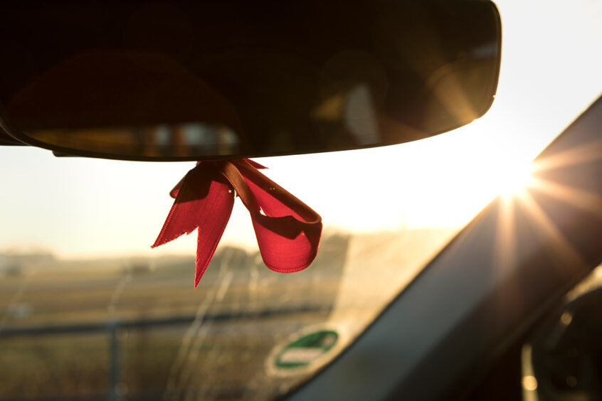 Werner Bartsch Fotografie - Glückliche Tage