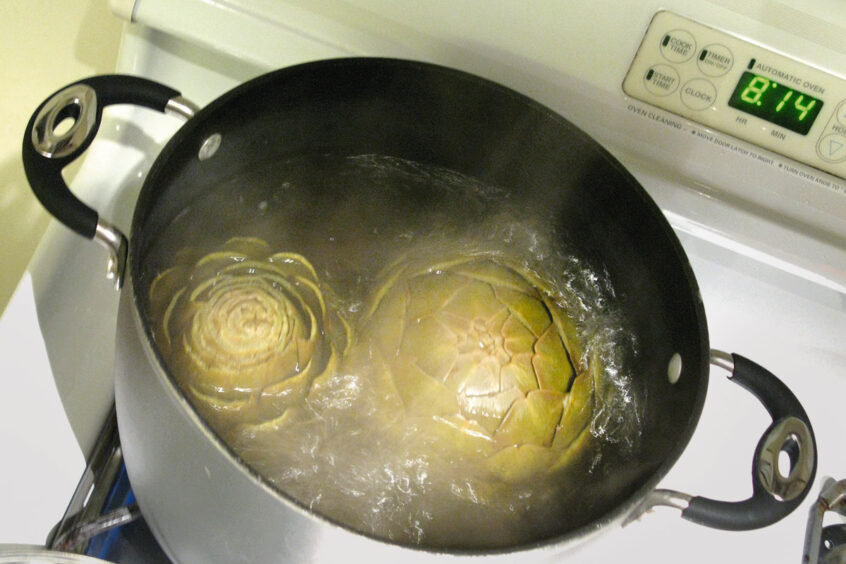 Werner Bartsch Fotografie - Glückliche Tage