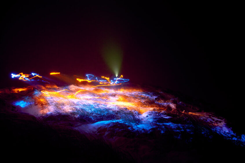 Werner Bartsch Fotografie - Glückliche Tage