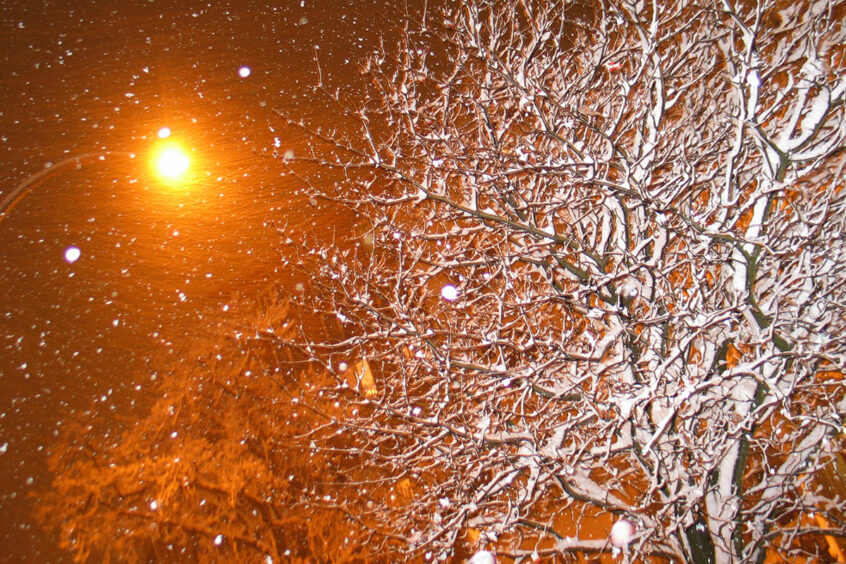 Werner Bartsch Fotografie - Glückliche Tage