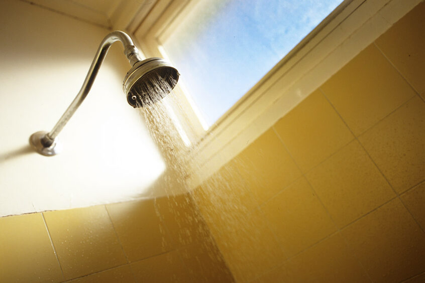 Werner Bartsch Fotografie - Glückliche Tage