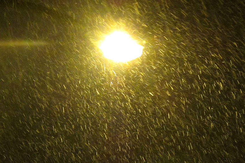 Werner Bartsch Fotografie - Glückliche Tage