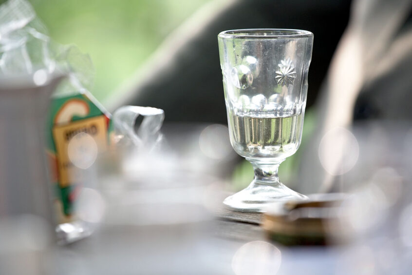 Günter Grass, Foto&Copyright: Werner Bartsch