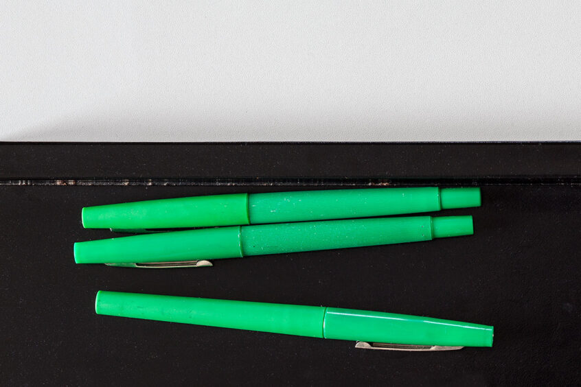 Helmut Schmidt, Foto&Copyright: Werner Bartsch