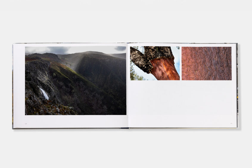 Werner Bartsch, Factories, Steidl Verlag, Birkenstock